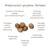 BIO Kawa z Shiitake Ra Hygge w ziarnach - ekologiczna, niskokwasowa z ekstraktem Shiitake (227g)