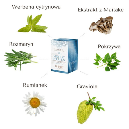 BIO herbatka MOODY BLUES - Termin ważności: 6.01.2027 r. - z ekstraktem Maitake - 16 torebek (28,8g)