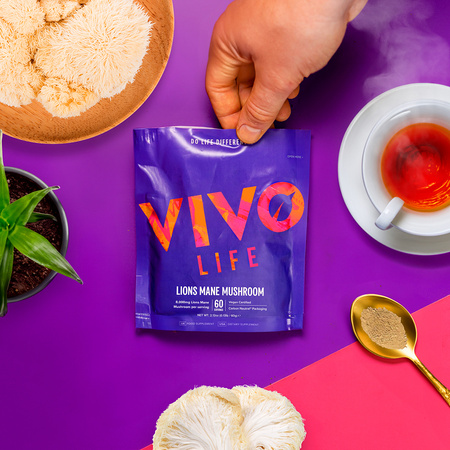 Ekstrakt SOPLÓWKI Vivo Life (60 porcji/60g)